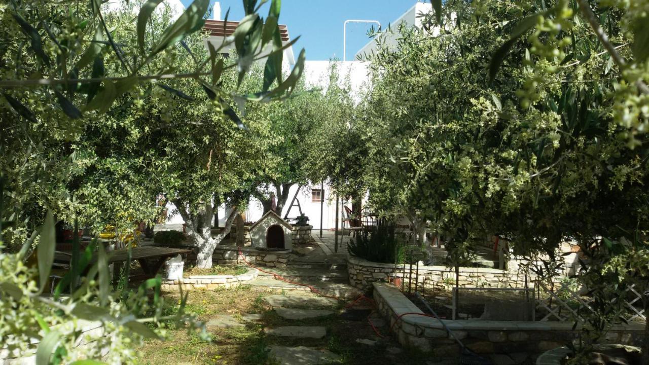Sunset Studios And Apartments For Adults Over 21 Only Nausa Exteriér fotografie